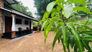 Golden Home Stay