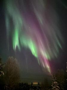 Rooms in a big wooden home, homestay