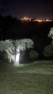 Villa de luxe à Mougins