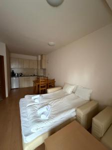 PM Services Royal Plaza Apartments