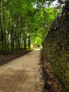 Sundew Cottage, Cosy 1 Bed, near Slane & Newgrange