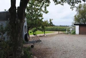 Idyllic Countryside Farm with Horseback Riding