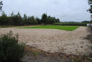 Idyllic Countryside Farm with Horseback Riding