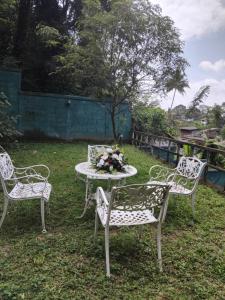 Kandy wellington apartment