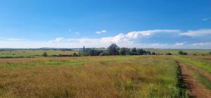 Rustic Stone Farm house
