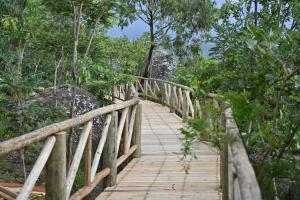 Origins Africa Retreat