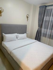 Stylish 2BR with pool at Shawmut Suites, Nakuru
