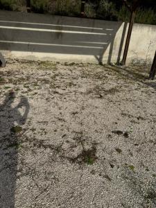 Quiet single ensuite room in countryside