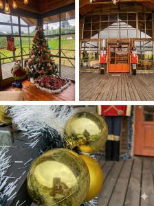 Glamping Familiar Naturaleza Aventura y Vista a la Montaña