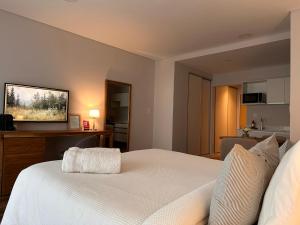 Soar Luxury Studio en el centro de Salta