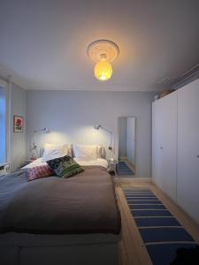 Cozy renovated apt I In The Heart of Vesterbro
