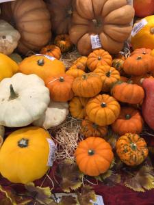 Hotels Logis Hotel Le Manoir & Lounge : photos des chambres