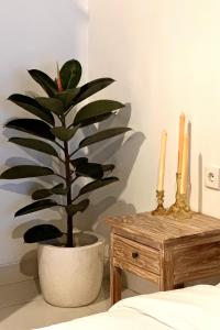 Villa Giulia Canggu - Private Pool - Self Check-In