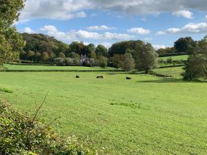 De Molenhoeve Gezinswoning