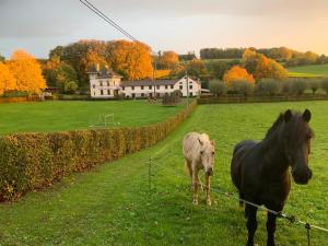 De Molenhoeve Gezinswoning