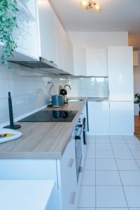 Bucharest Central DD Apartment