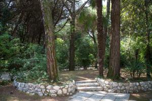 Pine-front bungalow steps from the beach