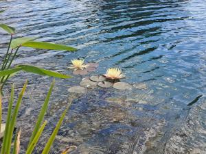 Hármaspuszta Vendégház