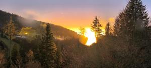 Le Chalet des 4 Chouettes