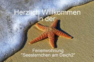 Ferienwohnung Seesternchen am Deich2 C46