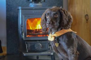 2 Bed in Marykirk oc-r34253