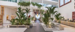 Paradisus by Meliá Fuerteventura -Inclusive