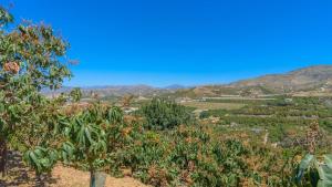 Cortijo Carmen de Vélez Vélez-Málaga by Ruralidays