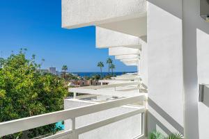 Ponderosa MiniCasa Studio