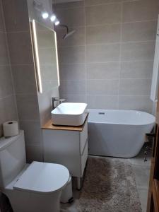 Accommodation Craiova - 2-room luxury apartment