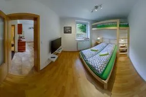 Apartmán Borůvka - Pec pod Sněžkou