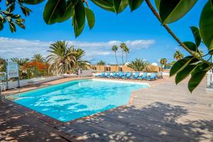 Ponderosa MiniCasa Studio