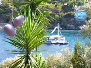 Odyssia near the Seaside Alonissos Greece