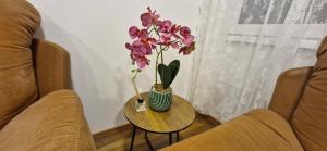 Apartments Dubrava 6