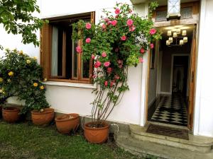Charmant appartement avec terrasse en plein centre