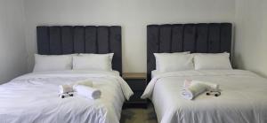 Good night guest house