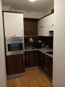 Apartmán Nové Město na Moravě