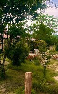 Les Orchidées - Chambre