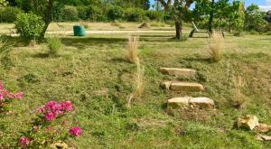 Les Orchidées - Chambre