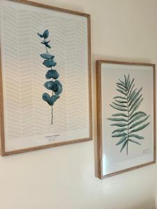 Best Stay-Apartments in Andrea da Bari