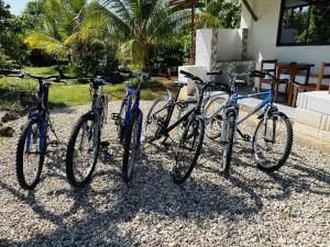 Emerald Garden Apartment