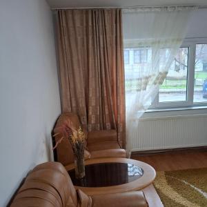 Apartament 2camere,bucatarie,baie langa Manastirea Curtea de Arges