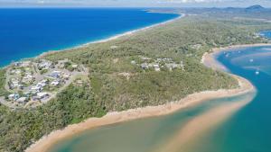 Cake By The Ocean - 3BDR, Pet-Friendly Retro Beach House w Stunning Views