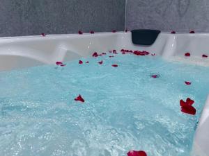 Suite 1 Private Jacuzzi Spa Hot Tub & Sauna