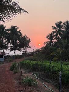 The Brine Breeze Gokarna