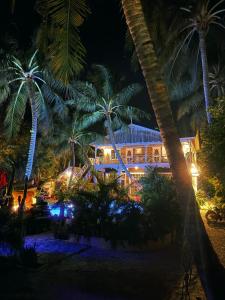 Caye Caulker Boutique Guesthouse 3