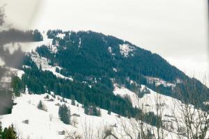 Charming Apartment with Alpine Ambiance