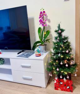 Tomaš Apartment,Free Parking-02 Arena