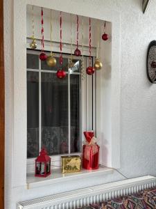 Tiva kucazaodmor-Fruska Gora