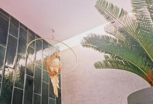 Chic & Trendy Studio in Baixa Historic Center