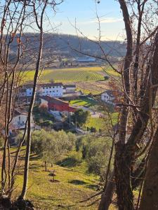 Dolcevita guest house